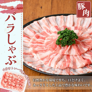 鹿児島県産 豚肉 バラ しゃぶしゃぶ セット (計2.4kg)【TRINITY】A677