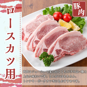 鹿児島県産 豚肉 セット (合計5kg)【TRINITY】A683