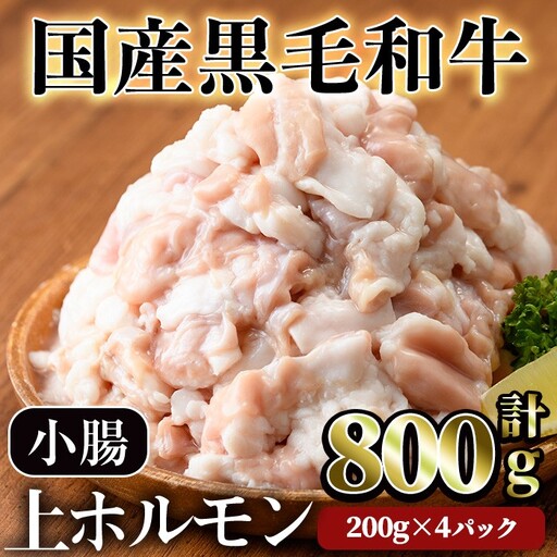 【鮮度抜群！】国産 黒毛和牛 小腸 上ホルモン 焼肉 和牛（計800g） 【カミチク】A827