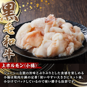 国産 黒毛和牛 小腸 ホルモン 上 焼肉 （計1.6kg）【カミチク】A828