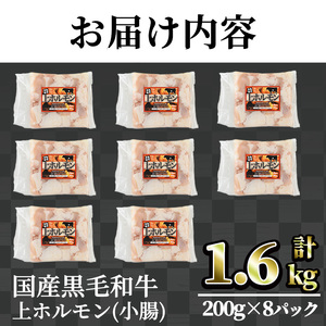 国産 黒毛和牛 小腸 ホルモン 上 焼肉 （計1.6kg）【カミチク】A828