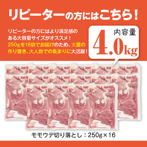 <2026年4月中に発送予定> 鹿児島県産 豚肉 切り落とし (計4.0kg)【Rana】A1017-04