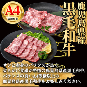 【数量限定】鹿児島県産 黒毛和牛 A4等級以上 肩ロース 焼肉  (計1.0kg＋黒毛和牛こま切れ250g×2P) 牛肉 【KNOT】 B198-v01