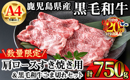 【数量限定】鹿児島県産 黒毛和牛 A4 等級 以上 肩ロース すき焼き用 (計750g＋こま切れ 250g×1P) 牛肉 冷凍 【KNOT】 A809-v01