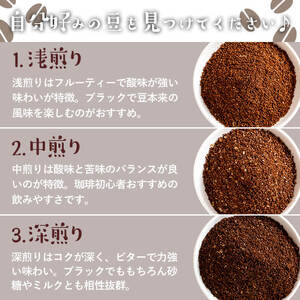＼ロースター が セレクト！／珈琲豆 3種 飲み比べ セット ＜粉タイプ＞(合計300g・各100g×3種) コーヒー【しんしろ珈琲】A760