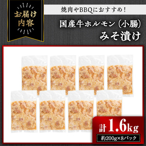 国産牛 ホルモン 牛肉 小腸 みそ漬け (計1.6kg・約200g×8パック) 【おきどき】A886