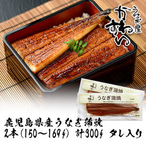 【7営業日以内発送！】＜うなぎ屋かわすい＞鹿児島県産 国産 うなぎ 蒲焼 タレ 鰻 うな重 かばやき 計300g 以上 150～169g×2本【川口水産】A854