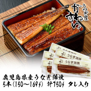 ＜うなぎ屋かわすい＞鹿児島県産 国産 うなぎ 蒲焼 タレ 鰻 うな重 かばやき 計750g 以上 150～169g×5本【川口水産】A857
