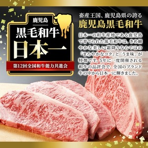牛肉 ロース ステーキ 4枚 セット 鹿児島県産 黒毛和牛(4枚・計約1kg)【ナンチク】A608-v01