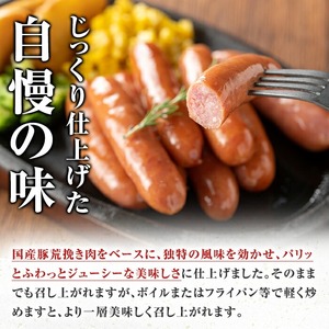 ＜2026年2月中に発送予定＞国産豚生ハム切り落とし・業務用荒挽き恵みウインナー(合計1.6kg) 生ハム おつまみ 小分け 【ナンチク】A941-02