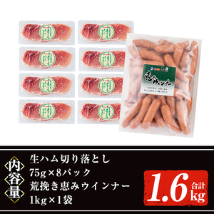 ＜2026年2月中に発送予定＞国産豚生ハム切り落とし・業務用荒挽き恵みウインナー(合計1.6kg) 生ハム おつまみ 小分け 【ナンチク】A941-02