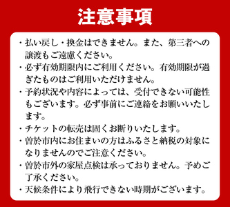 【 家屋調査 】ドローン空撮 屋根点検（※曽於市限定※） 空撮 ドローン 災害対策【内山測量設計】D39