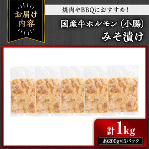 国産牛 小腸 牛肉 ホルモン みそ漬け セット (計1kg・約200g×5パック) 【おきどき】A817-v01