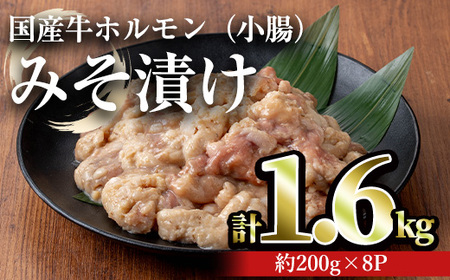 国産牛 ホルモン 牛肉 小腸 みそ漬け セット(計1.6kg・約200g×8パック) 【おきどき】A886