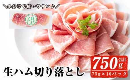 国産豚生ハム切り落とし75g×10P(計750g) 生ハム おつまみ 小分け 【ナンチク】A-302