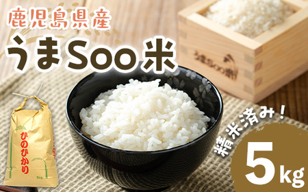 ＜先行予約受付中！＞米 うまSoo米(5kg) ひのひかり 白米 精米【曽於市観光協会】A587