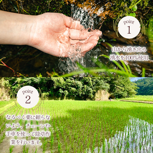 ＜先行予約受付中！＞米 うまSoo米(5kg) ひのひかり 白米 精米【曽於市観光協会】A587