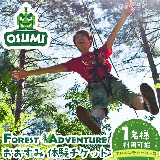 【アドベンチャーコース】フォレストアドベンチャー・おおすみ 体験 チケット (1名分)【フォレストアドベンチャー・おおすみ】 A962