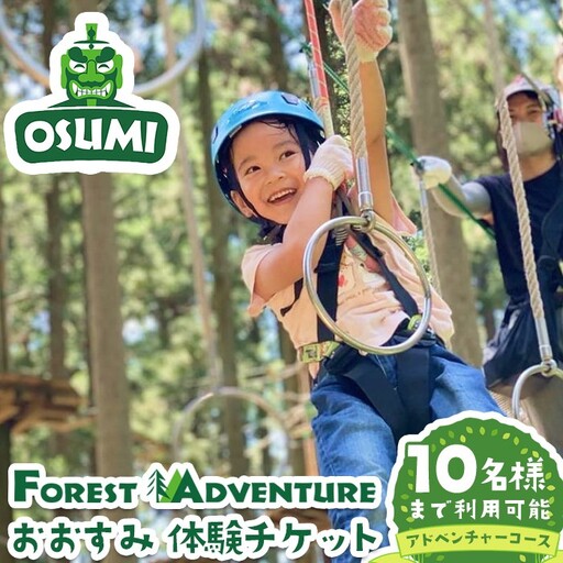 【アドベンチャーコース】フォレストアドベンチャー・おおすみ グループ体験チケット (最大10名様)【フォレストアドベンチャー・おおすみ】 D48