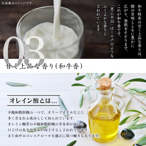 ＜先行予約受付中・2025年12月下旬頃から順次発送予定＞【数量限定】肉おせち重セット【鹿児島黒乙女55・黒豚】(合計800g) 黒毛和牛 黒牛 黒豚【ナンチク】A961