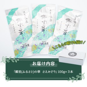 《 国内外 で 入賞 》隠れた お茶 どころ 、鹿児島 曽於茶 ＜厳選＞３本 セット ( 郷里の華 さえみどり・100g×3袋) お茶 緑茶 茶葉【曽於市観光協会】A211-v01