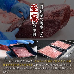 A5 等級 鹿児島県産 黒毛和牛 焼肉 切落し (計500g・250g×2パック) 切り落とし 焼肉 黒毛和牛【カミチク】A1004