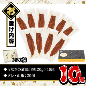 無投薬!鹿児島県産うなぎ蒲焼セット<定番>(計1.2kg以上・ 約120g×10尾) タレ・山椒付き 鰻 ウナギ 国産【西日本養鰻】C45