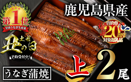 <丑の日先行予約受付中!>無投薬!鹿児島県産うなぎ蒲焼セット<上>(計280g以上・ 約140g×2尾) タレ・山椒付き 鰻 ウナギ 国産【西日本養鰻】A1009