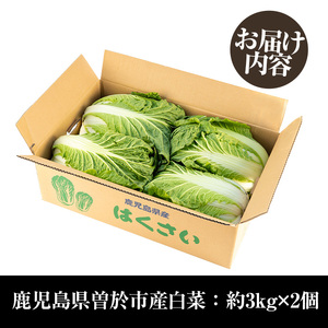 ≪期間限定≫村下さんちの白菜(約3kg×2個) 白菜 はくさい 野菜【曽於市観光協会】A1019