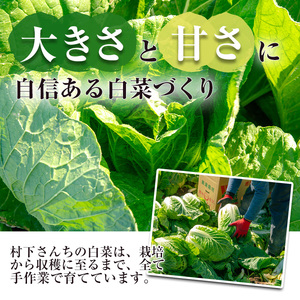 ≪期間限定≫村下さんちの白菜(約3kg×4個) 白菜 はくさい 野菜【曽於市観光協会】A987