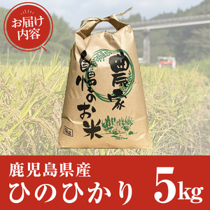 鹿児島県産ひのひかり(5kg) 【薪屋 薪の助】 A960-v01