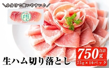＜2026年5月中に発送予定＞国産 豚 生ハム 切り落とし 75g×10P(計750g) おつまみ 小分け 【ナンチク】A302-05-v01