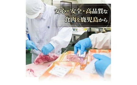 あらびき ウインナー 国産 (計720g・120g×6P) 国産 豚肉 ウインナー【ナンチク】A1020