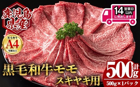 <14営業日 以内発送!>鹿児島県産 黒毛和牛 モモ スキヤキ用 (計500g・500g×1) 国産 牛肉 スライス【肉のちょーさん】A989