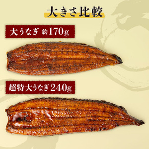 鹿児島産 超特大 うなぎ蒲焼 ( 無頭 ) (計240g以上・240g以上×1尾) 鰻 蒲焼き 真空パック【株式会社財宝】A1041
