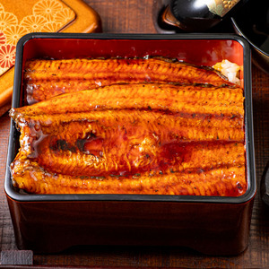 鹿児島産 超特大 うなぎ蒲焼 (無頭) (計720g以上・240g以上×3尾) 鰻 蒲焼き 真空パック【株式会社財宝】A1043