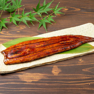 鹿児島産 超特大 うなぎ 蒲焼 ( 無頭 ) (計960g以上・240g以上×4尾) 鰻 蒲焼き 真空パック【株式会社財宝】B214