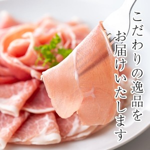 ＜2026年6月中に発送予定＞国産 豚 生ハム 切り落とし 75g×10P(計750g) おつまみ 小分け 【ナンチク】A302-06-v01