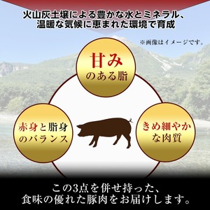 鹿児島県産豚 肩ロース 薄切りスライス しゃぶしゃぶ向け(600g) 豚肉 肩ロース スライス【小迫ストアー】A1047