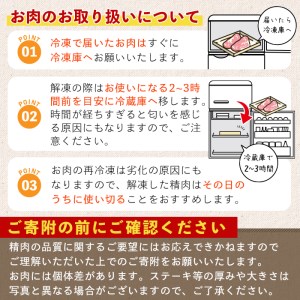 ＜4パック＞豚コマ切れ肉(4パック・各500g) 九州産豚肉 豚肉 豚【ナンチク】A-243-01