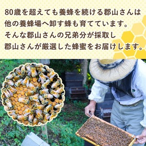 国産アカシアはちみつ(計600g) 国産 ハチミツ 蜂蜜 【アグリおおすみ】A-268
