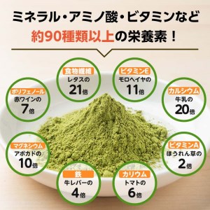 SOO健康生活セットA(モリンガ粉末100g×1袋・青汁緑茶2g×20包) モリンガ 青汁 国産【Japan Healthy Promotion Company】A-270