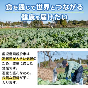 SOO MORINGA(モリンガ粉末100g×3袋) モリンガ 国産 健康食品【Japan Healthy Promotion Company】B135
