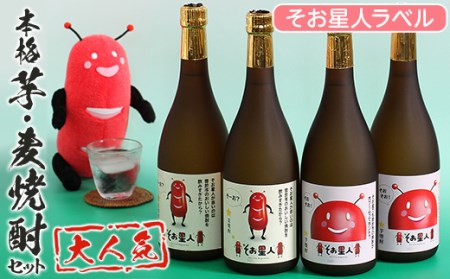 鹿児島曽於市の本格焼酎を飲み比べ そお星人の芋焼酎と麦焼酎セット 岩川醸造(720ml×4本) 芋焼酎 麦焼酎 飲み比べ【山元商店】A58-v01