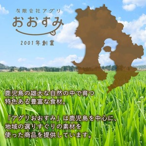鹿児島県産 プレミアム 手包み 黒豚まん (計10個) 【アグリおおすみ】A78-v01