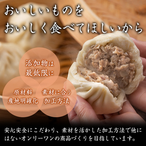 鹿児島県産 プレミアム 手包み 黒豚まん (計10個) 【アグリおおすみ】A78-v01