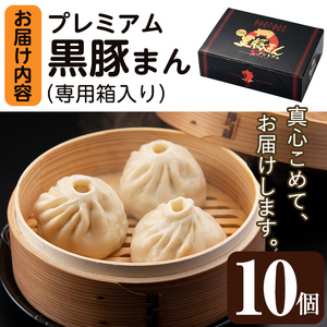 鹿児島県産 プレミアム 手包み 黒豚まん (計10個) 【アグリおおすみ】A78-v01