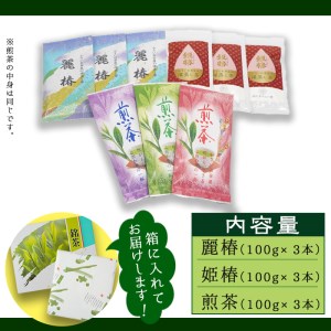 鹿児島県産 小さいお茶屋の深蒸し茶セット2 鹿児島県産 緑茶