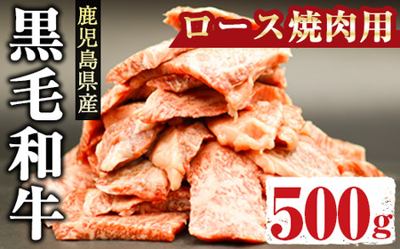 鹿児島県産黒毛和牛ロース500g(焼肉用カット) 国産 鹿児島県産 黒毛和牛【アグリおおすみ】A-288