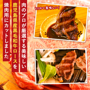 鹿児島県産 黒毛和牛 ロース 500g ( 焼肉用 カット ) 国産 牛肉 焼肉【アグリおおすみ】A288-v01